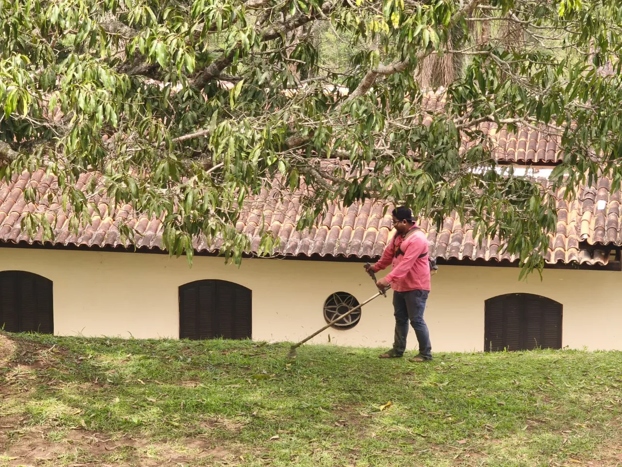 Pessoa cuidando da área gramada, à sombra das árvores da Ecovila Govardhan.